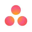 Icon of program: Asana